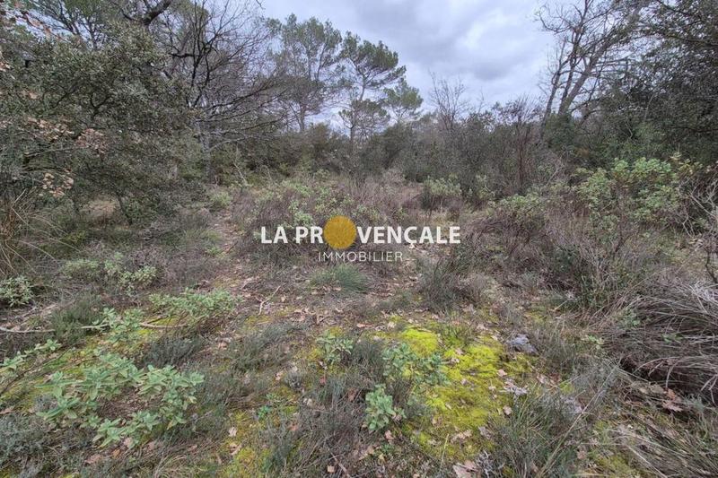 Terrain de loisirs - 2 315 m²