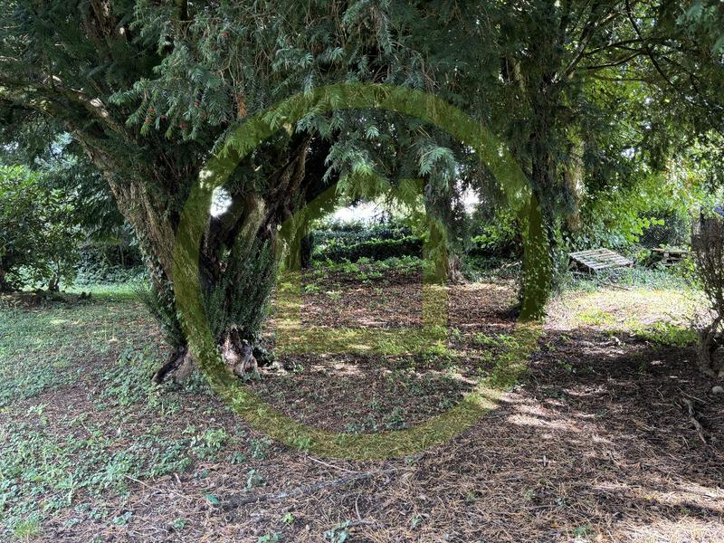 Maison - 216 m² - 8 pièces