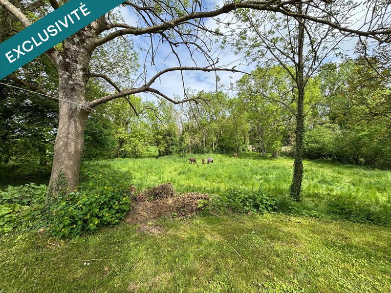 Maison - 244 m² - 7 pièces