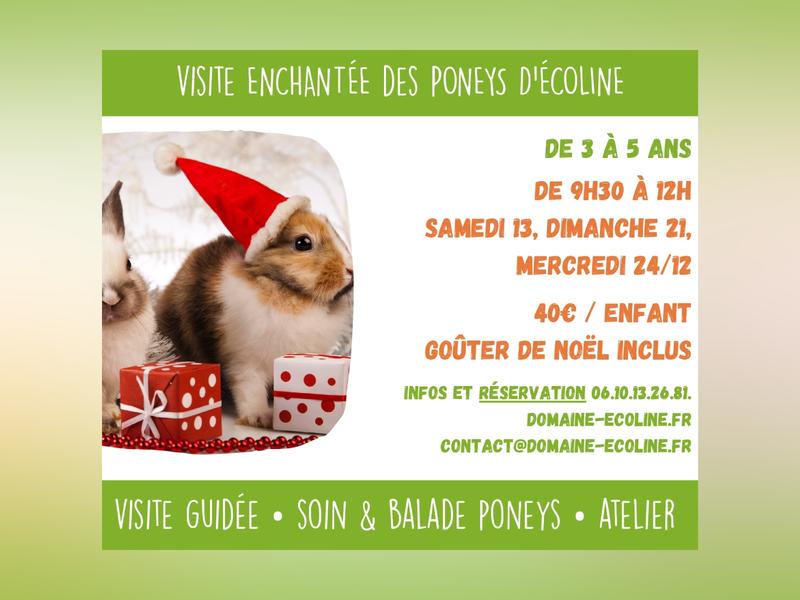 Noël avec les poneys d'Écoline