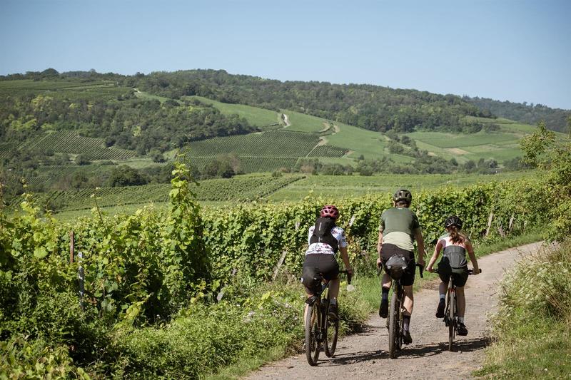 L'Avinture oenotouristique