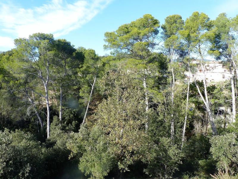 Maison - 130 m² - 4 pièces