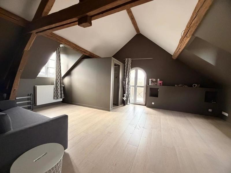 Moulin - 500 m² - 10 pièces