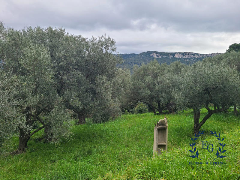 Terrain de loisirs - 2 013 m²