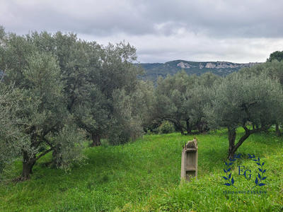 Terrain de loisirs - 2 013 m²