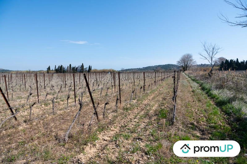 Terrain agricole - 41 115 m²