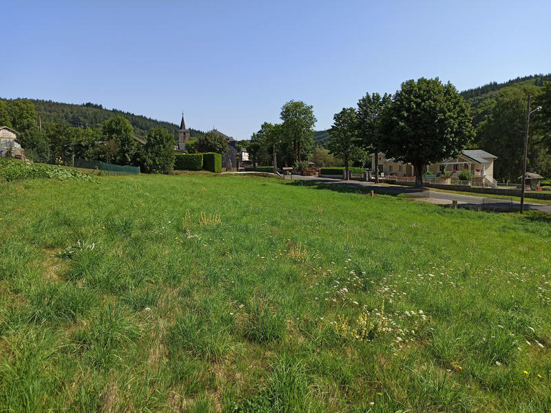 Terrain - 1 316 m²