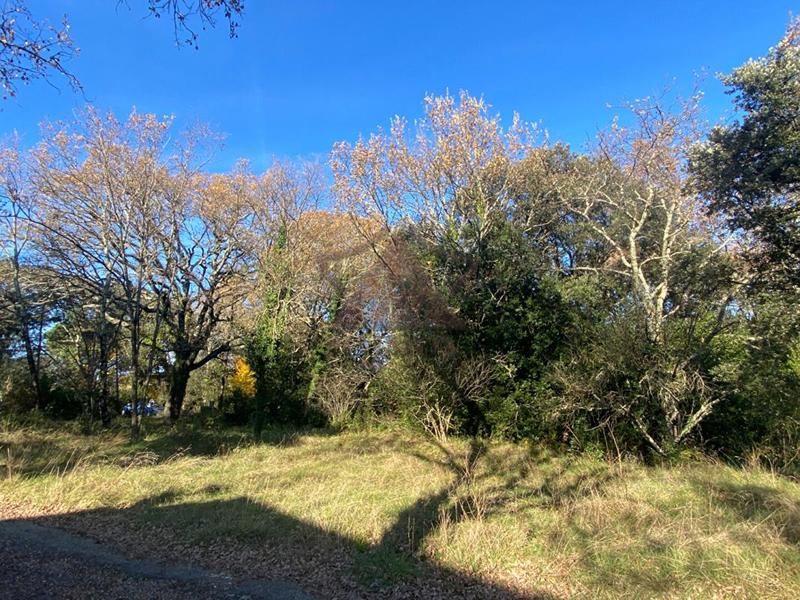 Terrain constructible - 1 040 m²