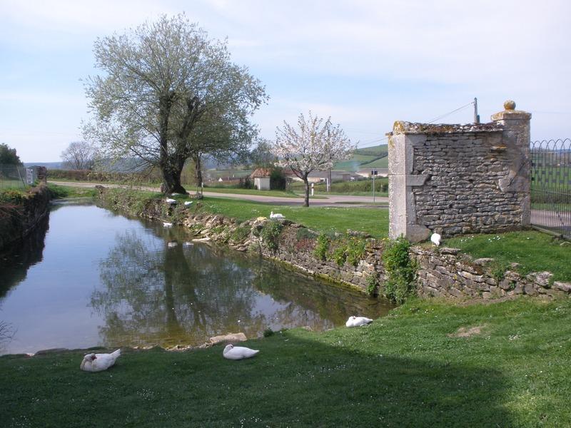 Corps de ferme - 390 m² - 15 pièces