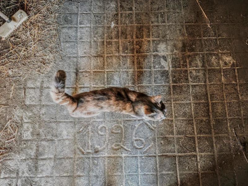 Maison - 165 m² - 5 pièces