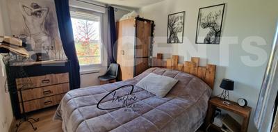 Appartement - 65 m² - 4 pièces