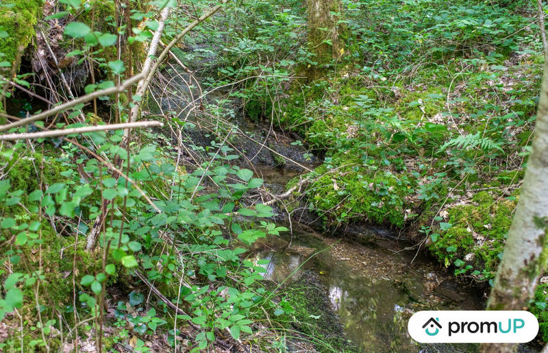 Terrain de loisirs - 5 300 m²