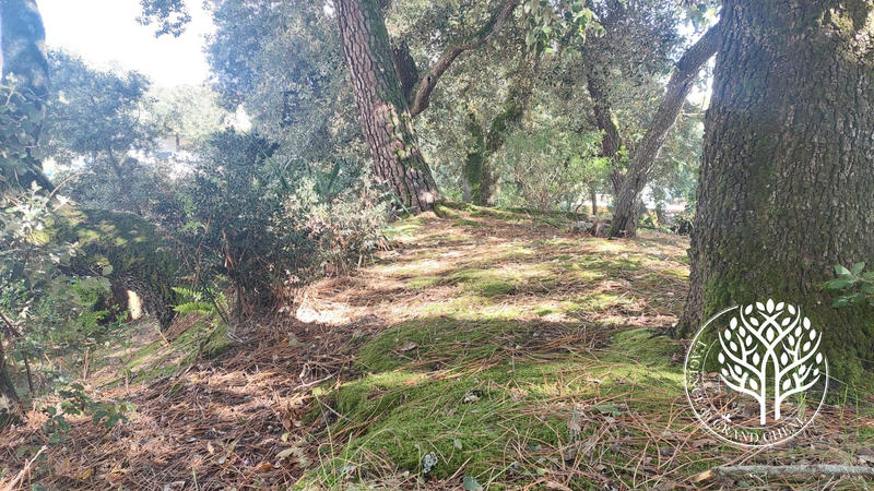 Villa - 187 m² - 7 pièces