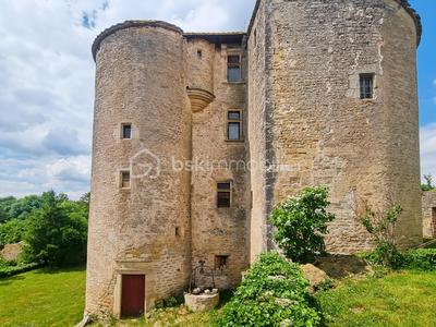 Château - 500 m² - 10 pièces