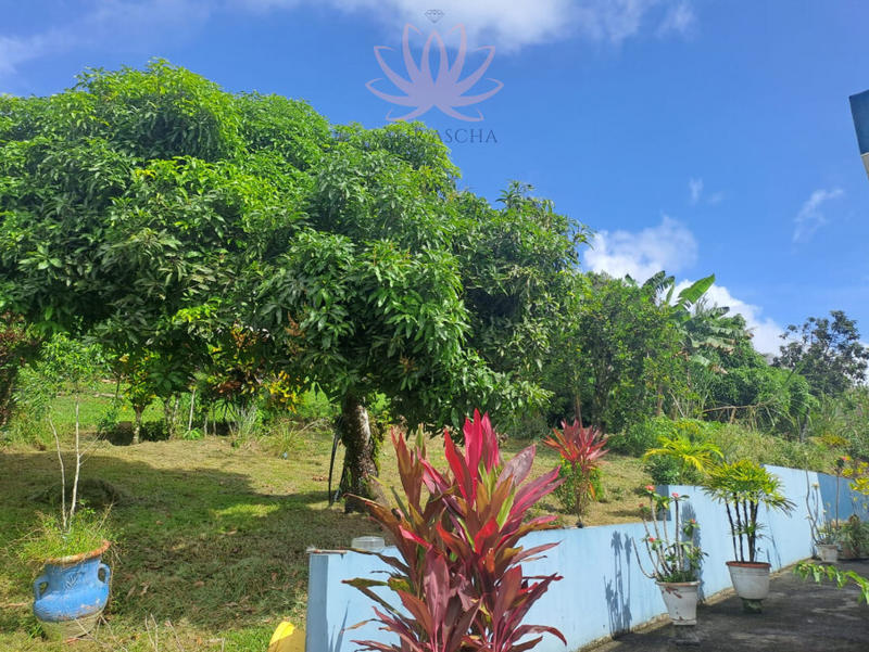 Maison - 193 m² - 4 pièces