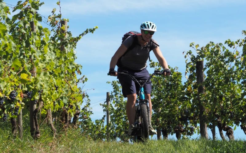 Rando à la ferme avec Trott'Iraty et pique-nique du berger au cayolar