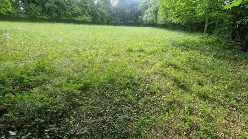 Terrain constructible - 2 290 m²