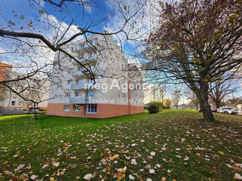 Appartement - 85 m² - 4 pièces