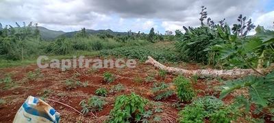 Terrain agricole - 167 518 m²