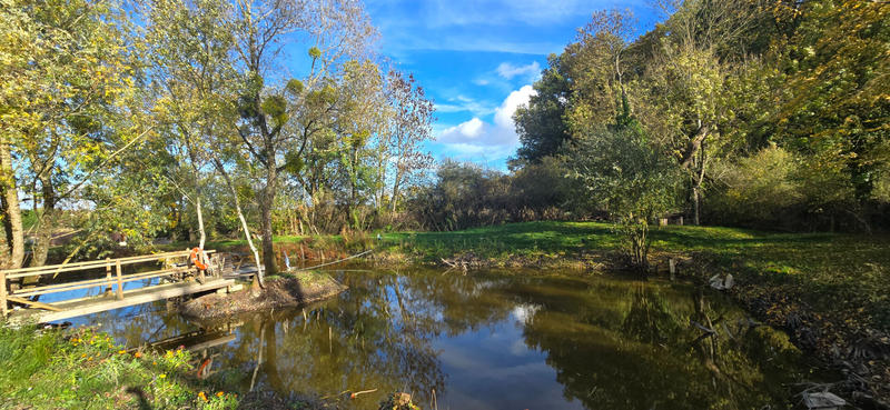 Terrain - 10 466 m²