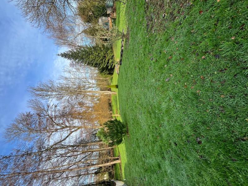 Maison - 200 m² - 8 pièces