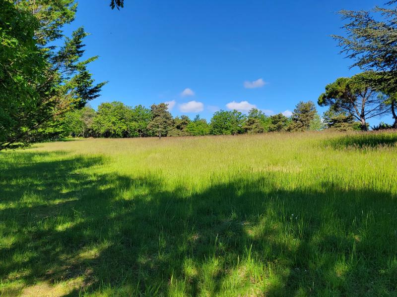 Maison - 500 m² - 17 pièces