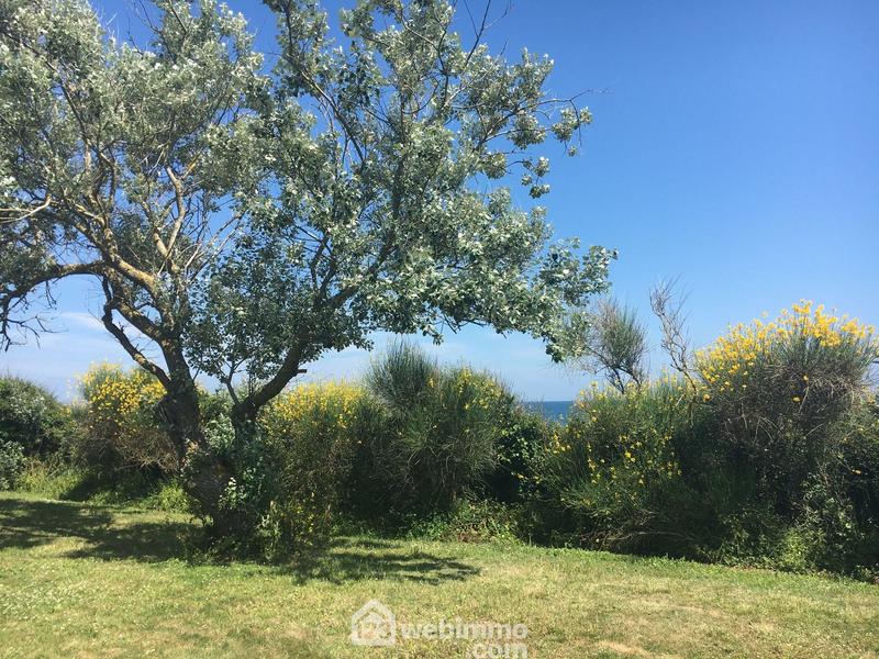 Maison - 100 m² - 30 pièces