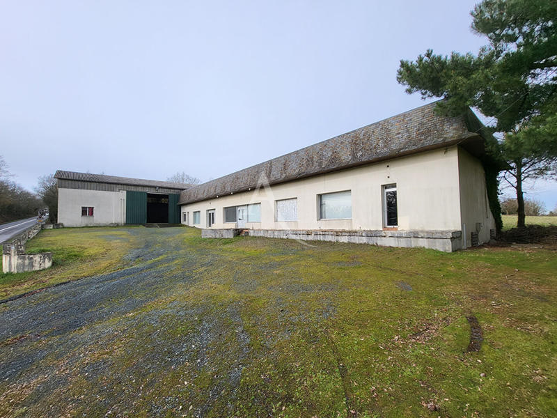 Local d'activité / Entrepôt - 1 035 m² - 8 pièces