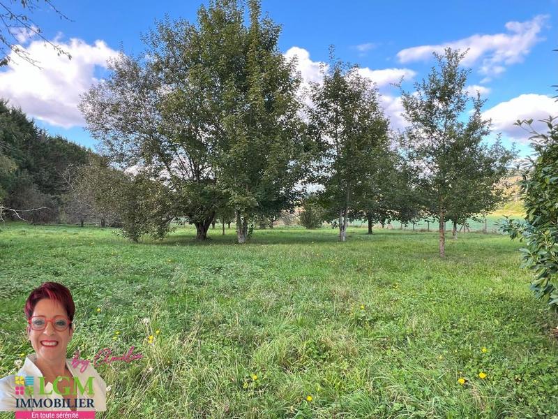 Terrain agricole - 5 069 m²