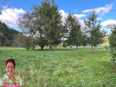 Terrain agricole - 5 069 m²