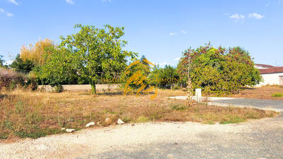 Terrain - 439 m²