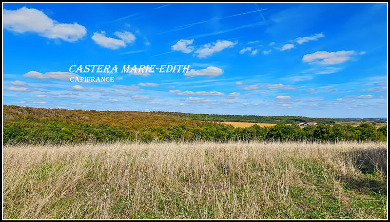 Propriété - 174 m² - 7 pièces