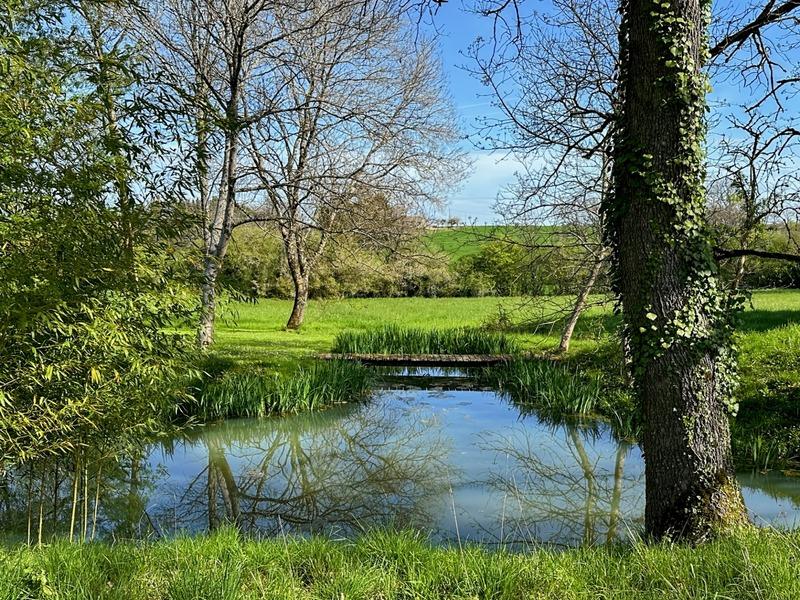 Maison en pierre - 222 m² - 9 pièces