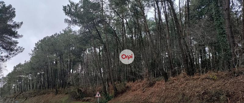 Terrain de loisirs - 49 615 m²