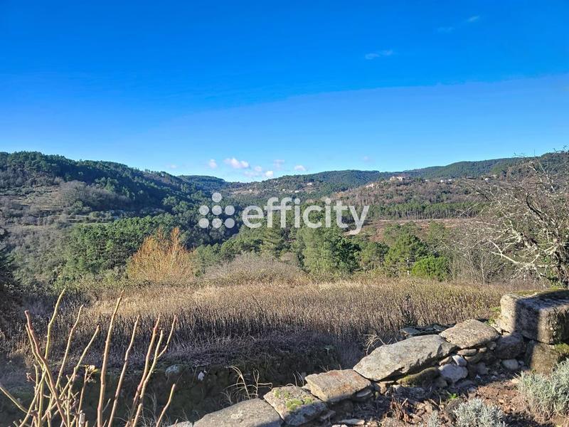 Maison en pierre - 110 m² - 3 pièces