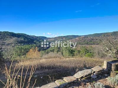 Maison en pierre - 110 m² - 3 pièces