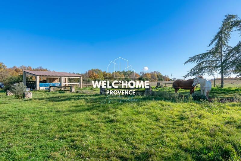 Mas - 465 m² - 20 pièces