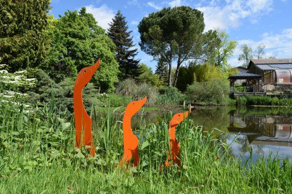 Sortie Nature : la vie des arbres