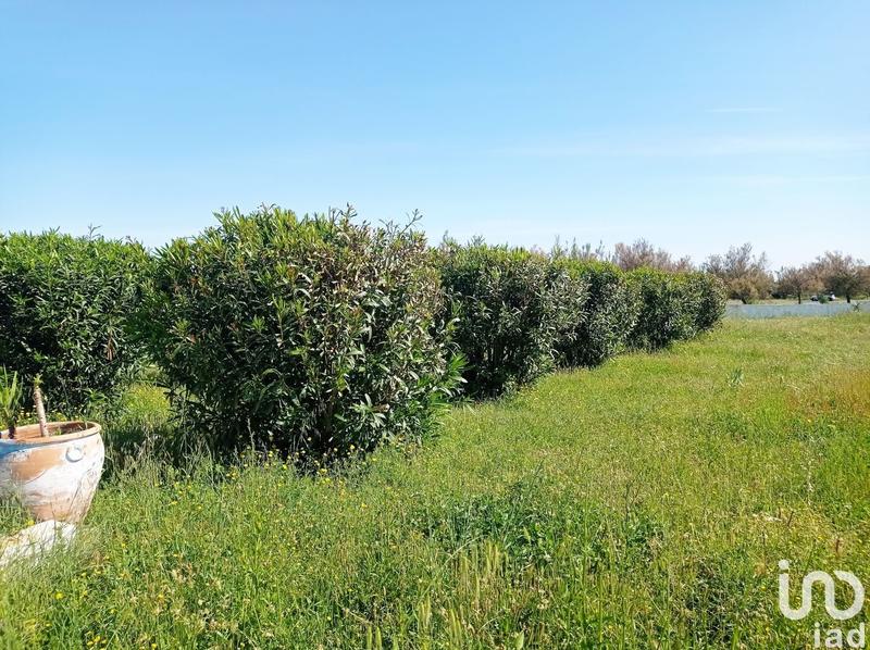 Local commercial - 400 m²