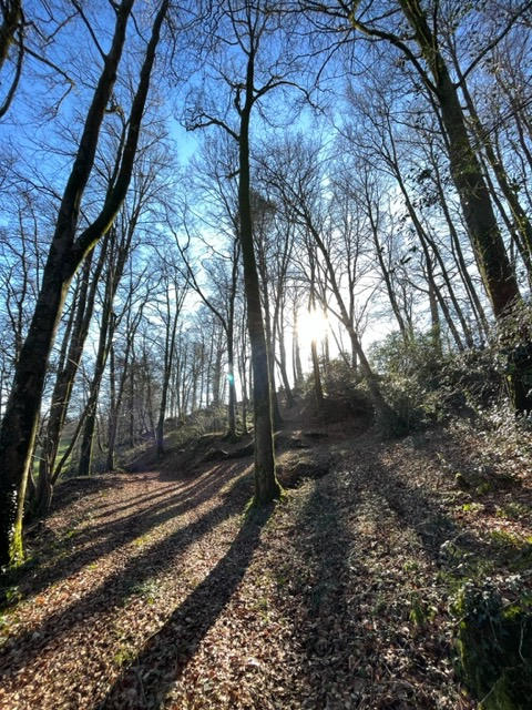 Maison - 200 m² - 9 pièces