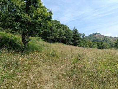 Terrain constructible - 2 295 m²