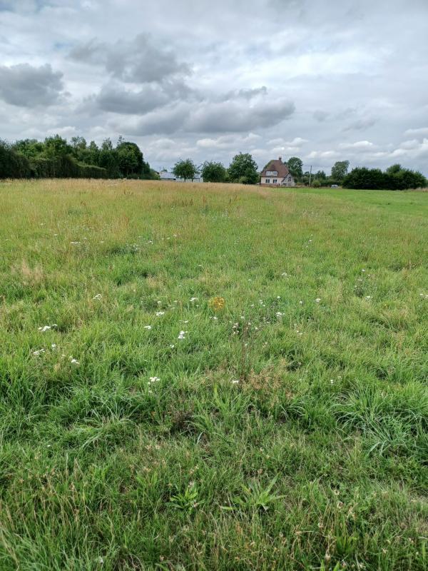 Terrain constructible - 1 660 m²