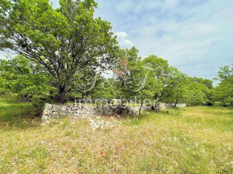 Propriété - 330 m² - 10 pièces