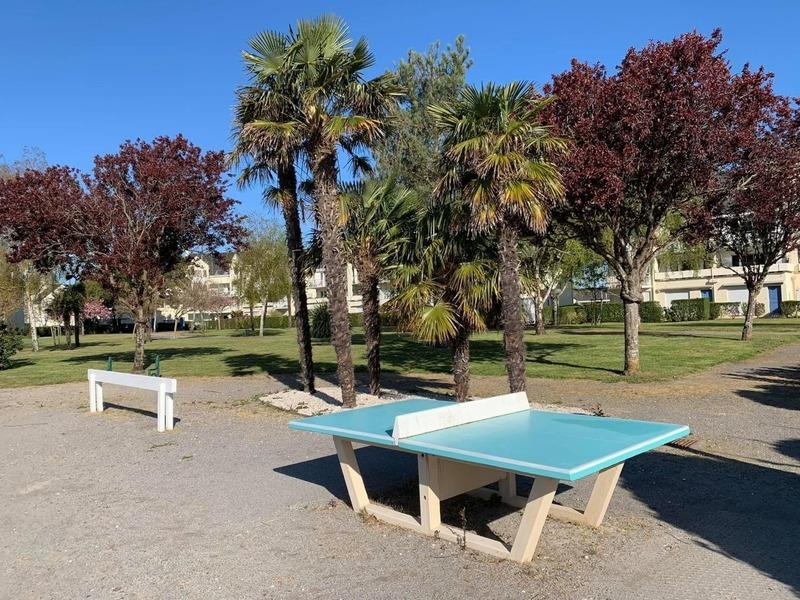 Studio - 25 m² - 1 pièce