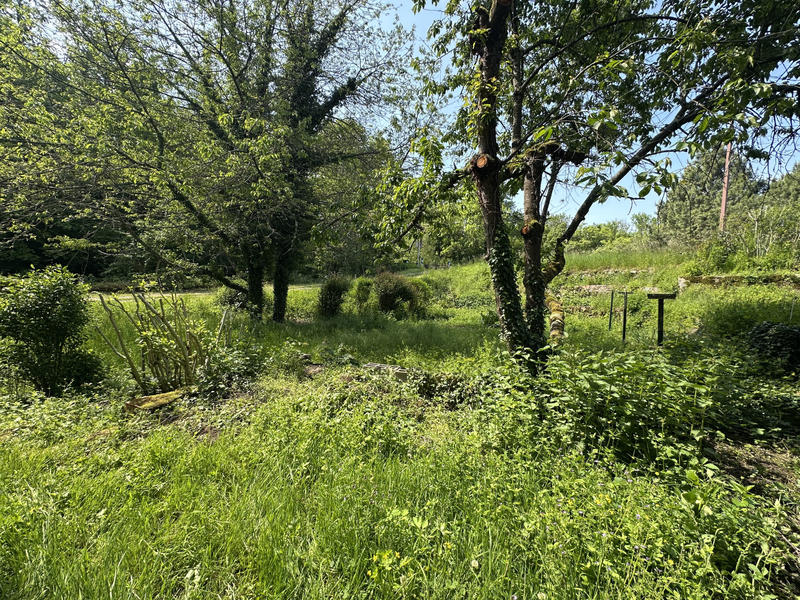 Appartement - 56 m² - 4 pièces