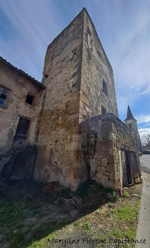 Maison en pierre - 175 m² - 10 pièces