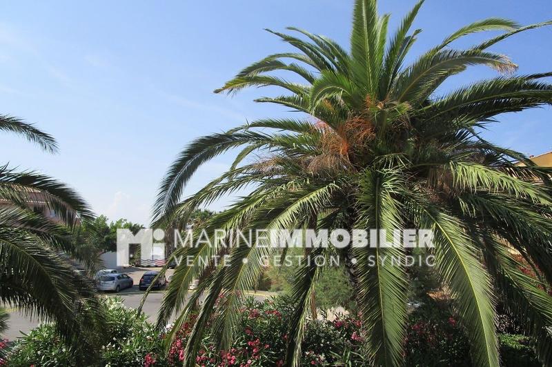 Studio - 19 m² - 1 pièce