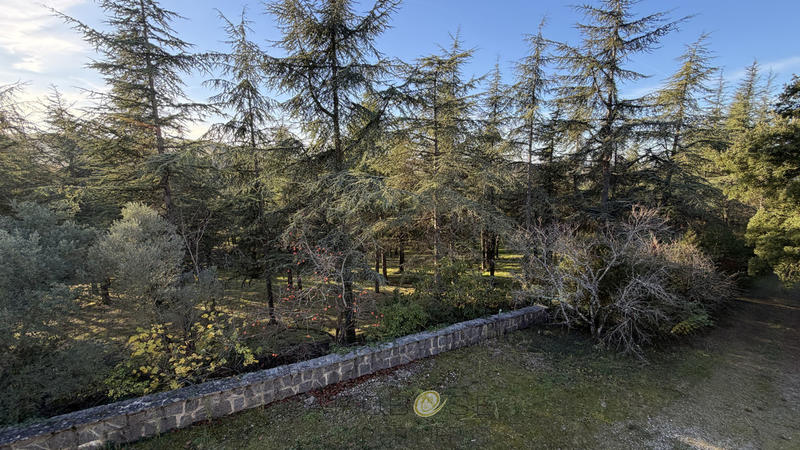 Maison - 300 m² - 7 pièces