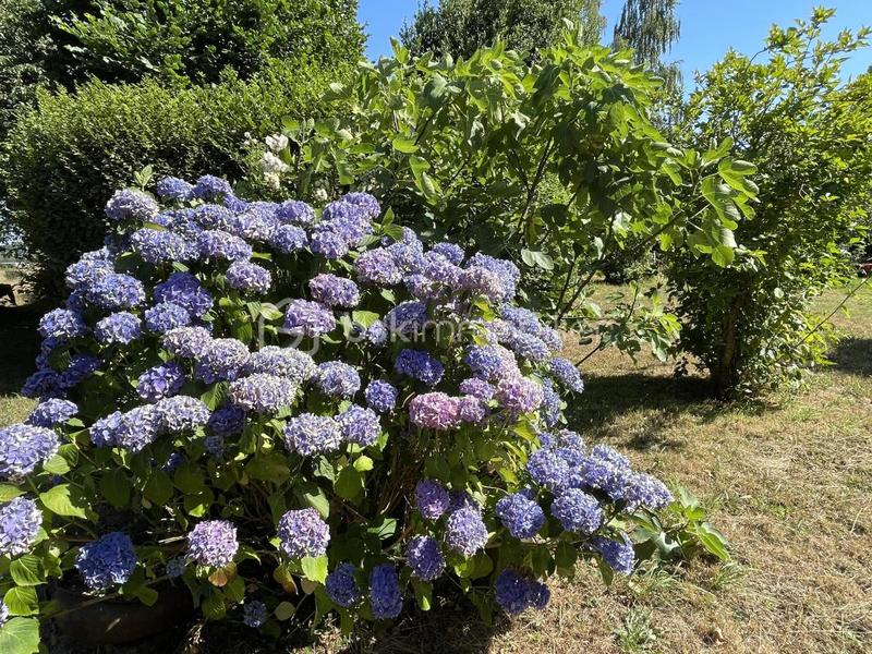 Maison en pierre - 107 m² - 5 pièces