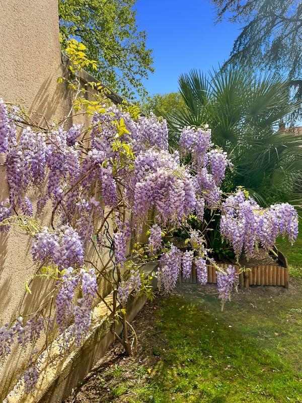 Maison de ville - 260 m² - 8 pièces